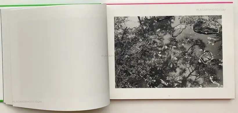 Lee Friedlander – Cherry Blossom Time in Japan