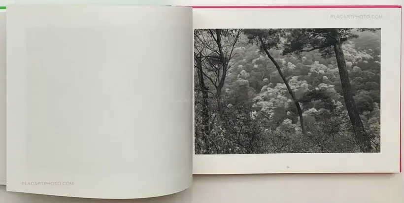 Lee Friedlander – Cherry Blossom Time in Japan