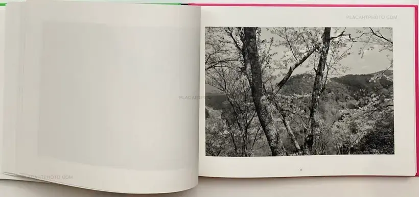 Lee Friedlander – Cherry Blossom Time in Japan