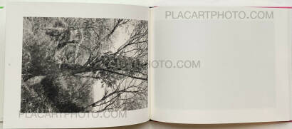 Lee Friedlander,Cherry Blossom Time in Japan