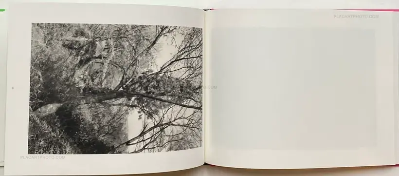 Lee Friedlander – Cherry Blossom Time in Japan