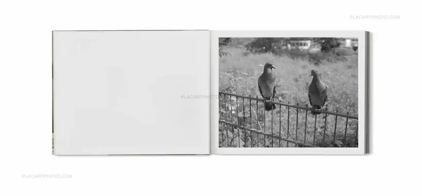 Mark Steinmetz – BERLIN PICTURES (SIGNED In shrink wrap)