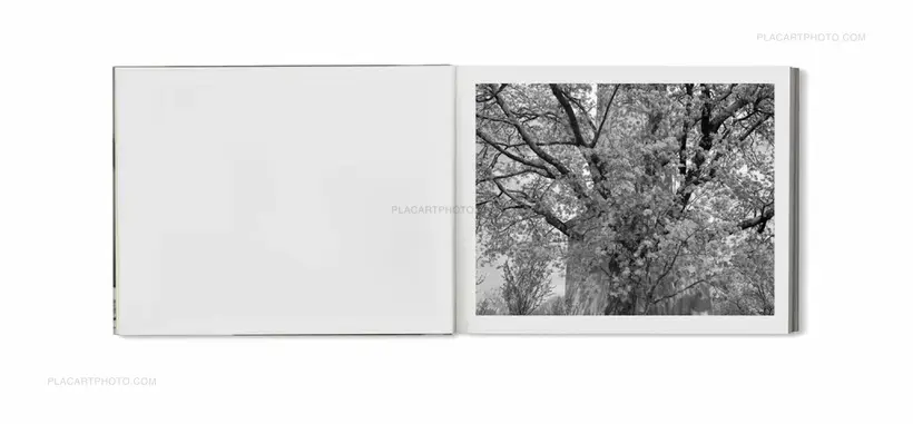 Mark Steinmetz – BERLIN PICTURES (SIGNED In shrink wrap)