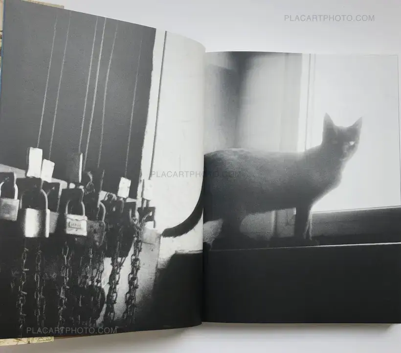 Lorenzo Castore – LAND (SIGNED)