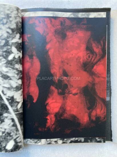 Lorenzo Castore,WALLS (DELUXE EDT OF 23 COPIES)