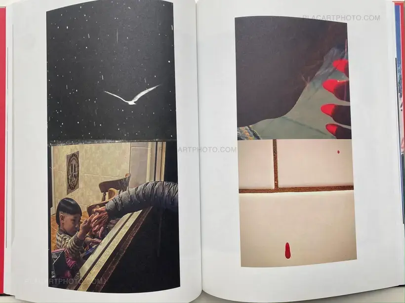 Patrick Remy Book David Hughes, Impermanence, Patrick Remy, 2024 | Le Plac'Art Photo