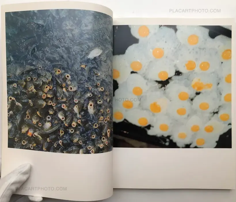 Rinko Kawauchi – Utatane (SIGNED)