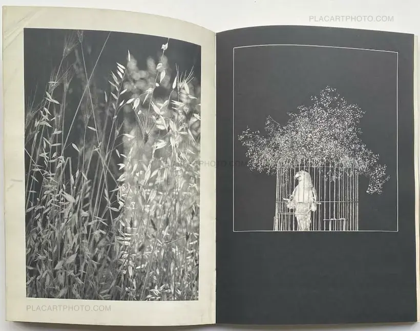 Shôtarô Akiyama – Kagyu no kiseki 1949-1974 (with obi)