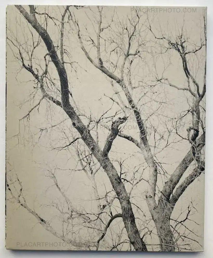 Mitch Epstein – NEW YORK ARBOR