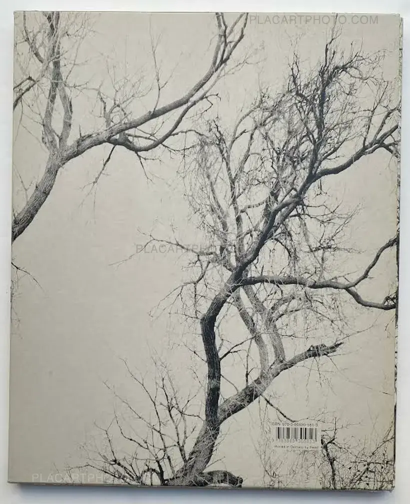 Mitch Epstein – NEW YORK ARBOR