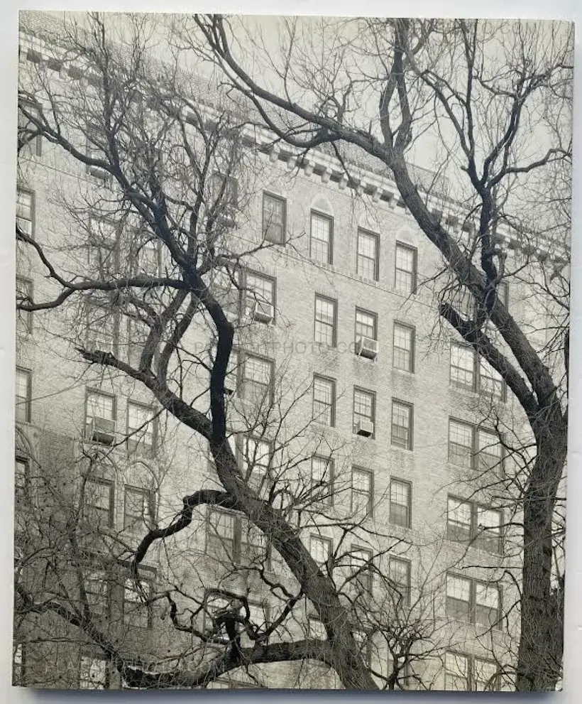 Mitch Epstein – NEW YORK ARBOR