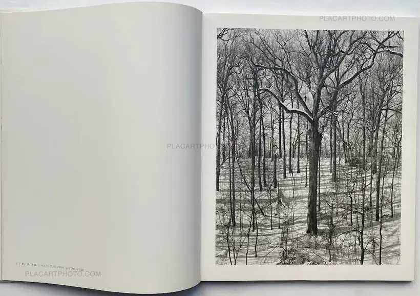 Mitch Epstein – NEW YORK ARBOR