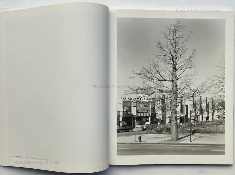Mitch Epstein – NEW YORK ARBOR