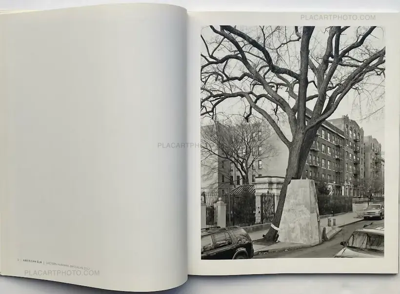 Mitch Epstein – NEW YORK ARBOR