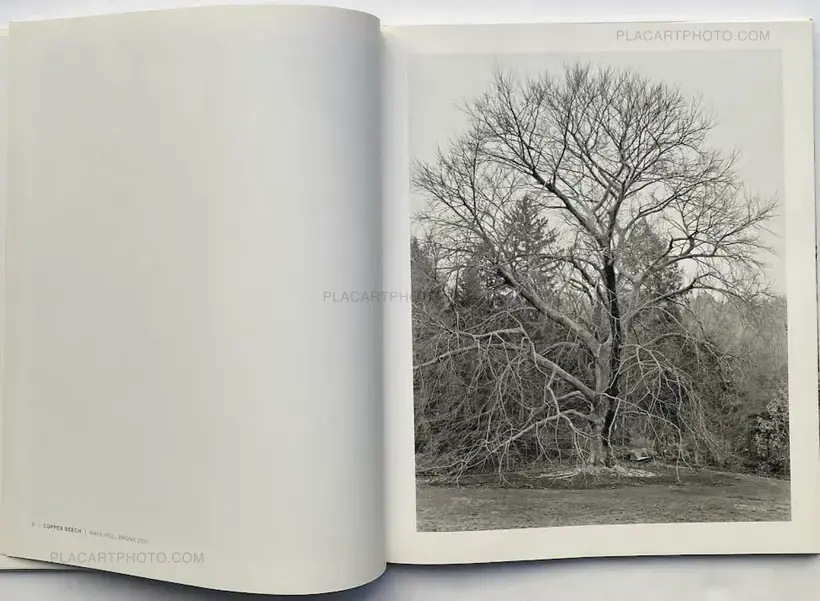 Mitch Epstein – NEW YORK ARBOR