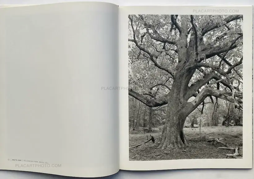Mitch Epstein – NEW YORK ARBOR