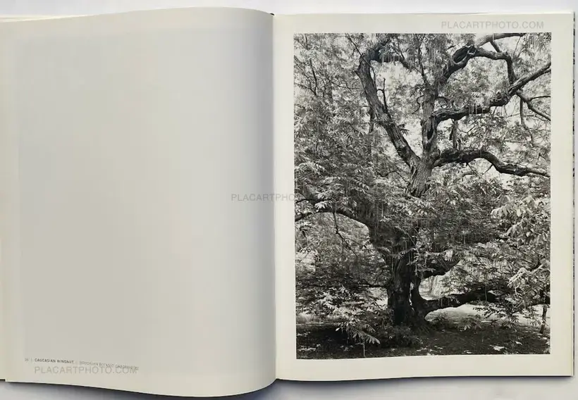 Mitch Epstein – NEW YORK ARBOR