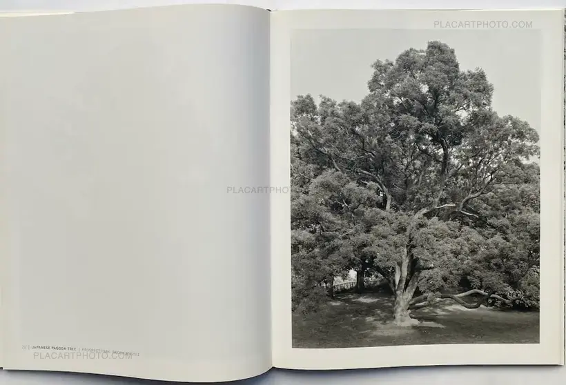 Mitch Epstein – NEW YORK ARBOR