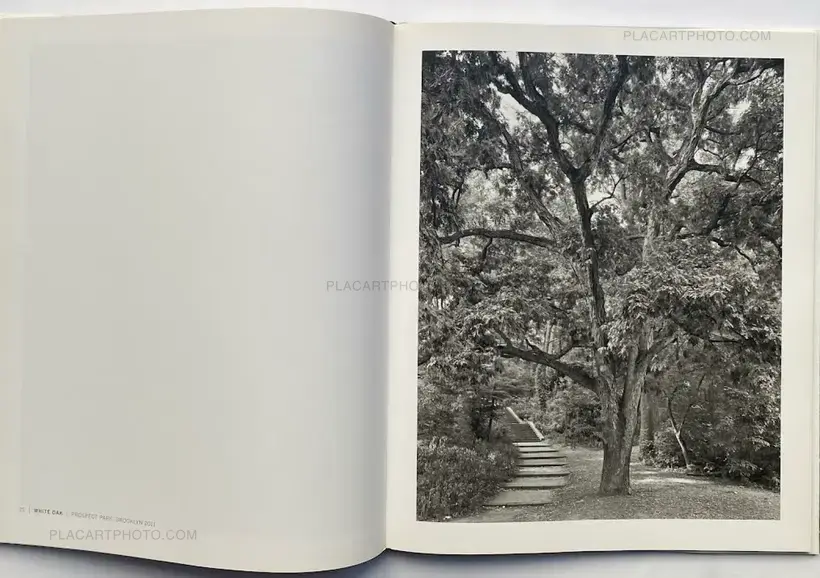 Mitch Epstein – NEW YORK ARBOR