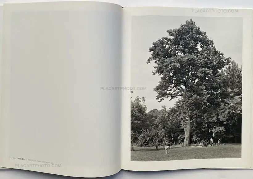 Mitch Epstein – NEW YORK ARBOR