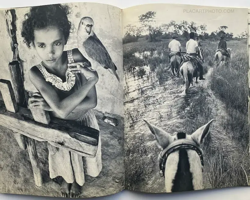 Jun Miki – SAMBA SAMBA BRAZIL (Signed)