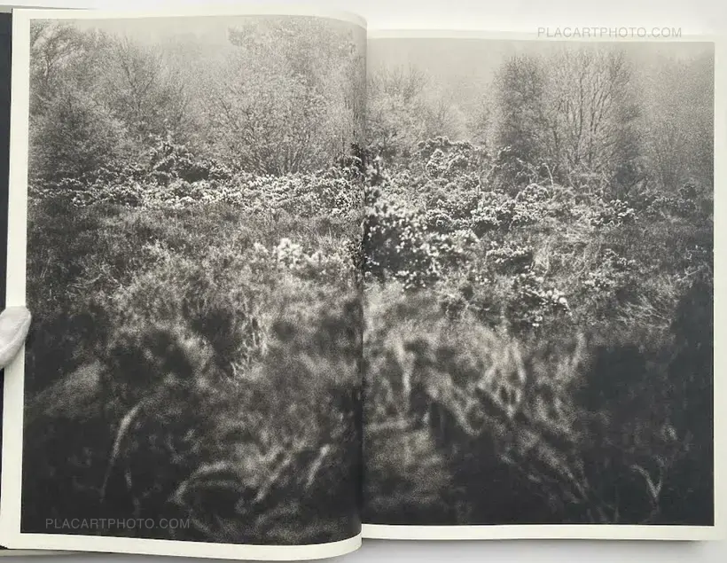 Kim Thue – LODE (Signed)