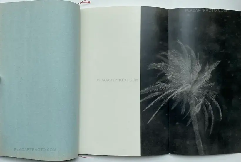 Rafael Tanaka Monzò – ABEND DER WORTE (Collector's edition, edt of 30)