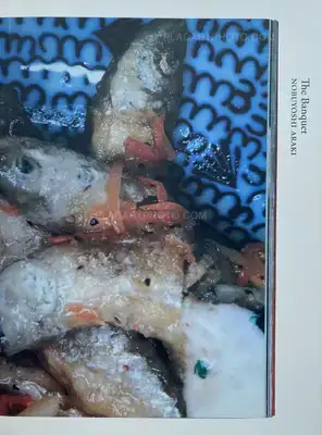Nobuyoshi Araki – The Banquet
