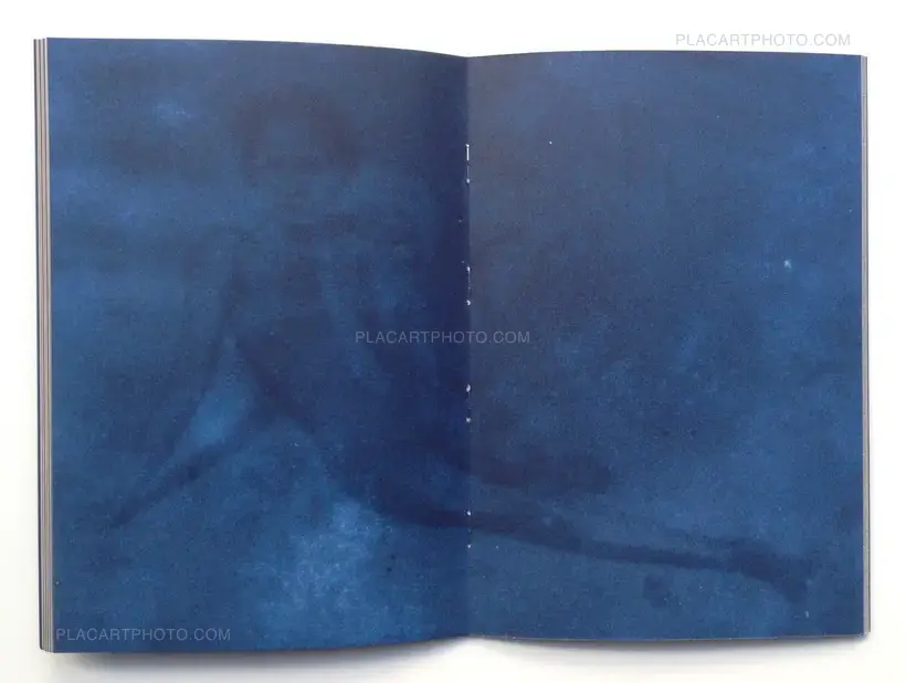 Tiane Doan na Champassak – TAMARIND GHOSTS (Signed)