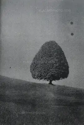 Daisuke Yokota – Site