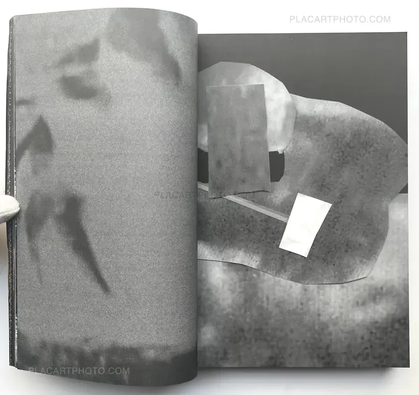 Collective – SPEW II