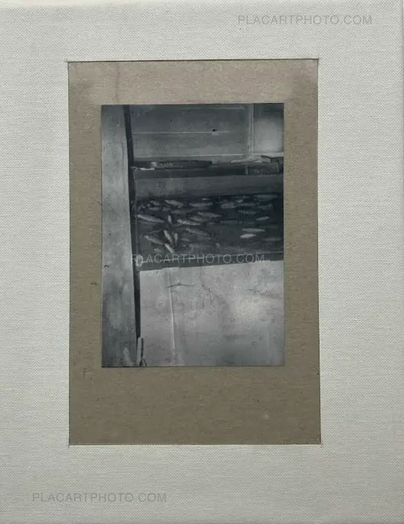 Daisuke Yokota – TEIKAI Wandering at Midnight (Collector's edition of 77)
