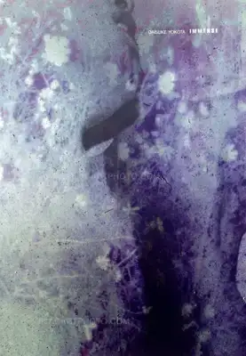 Daisuke Yokota – IMMERSE