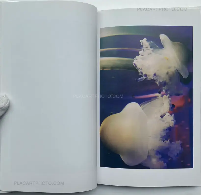Tokiko Suzuki – THE JELLY FISH
