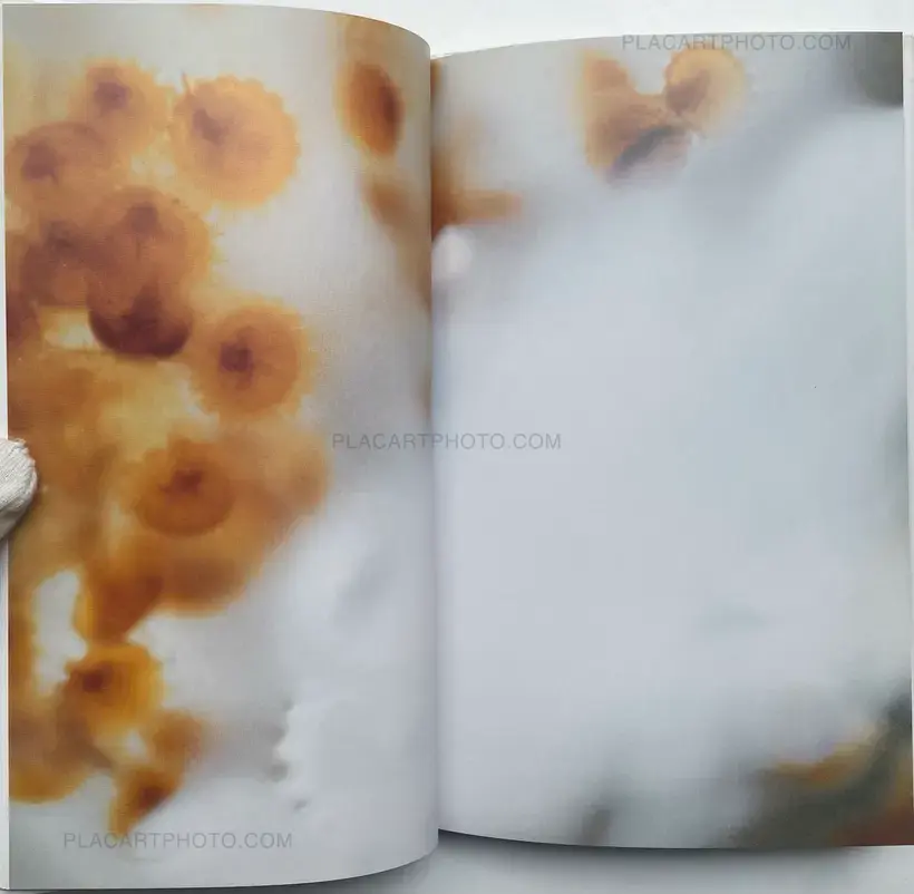 Tokiko Suzuki – THE JELLY FISH