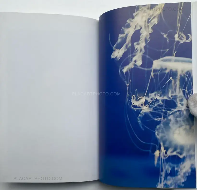 Tokiko Suzuki – THE JELLY FISH