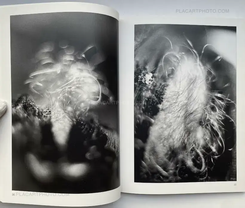 Henri Maccheroni – 2000 photographies du sexe d'une femme (With 1 print, edt of 26)