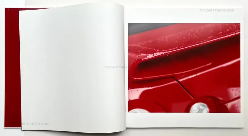 Masafumi Sanai – Sekisha (Red car)
