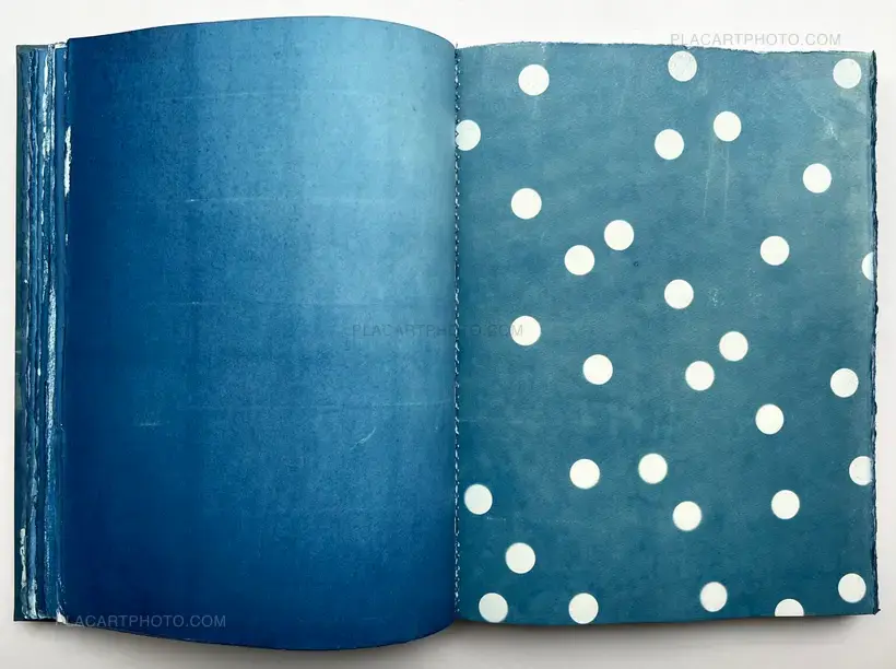 Thomas Mailaender – CYANOTYPES (Unique, signed and numbered)