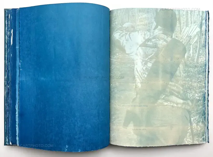 Thomas Mailaender – CYANOTYPES (Unique, signed and numbered)
