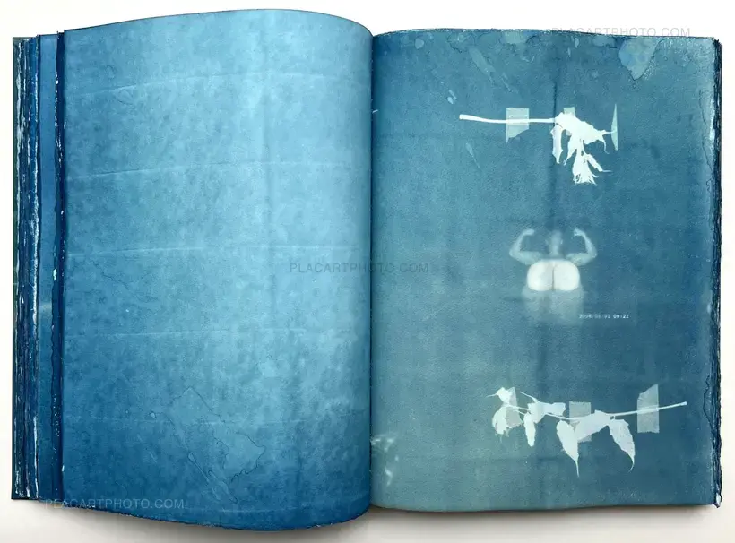 Thomas Mailaender – CYANOTYPES (Unique, signed and numbered)