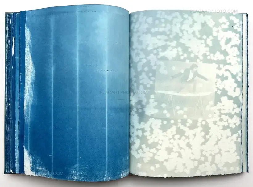 Thomas Mailaender – CYANOTYPES (Unique, signed and numbered)