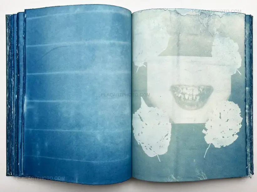 Thomas Mailaender – CYANOTYPES (Unique, signed and numbered)