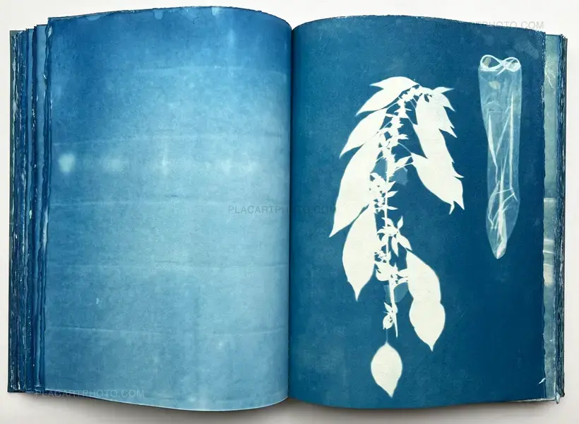 Thomas Mailaender – CYANOTYPES (Unique, signed and numbered)