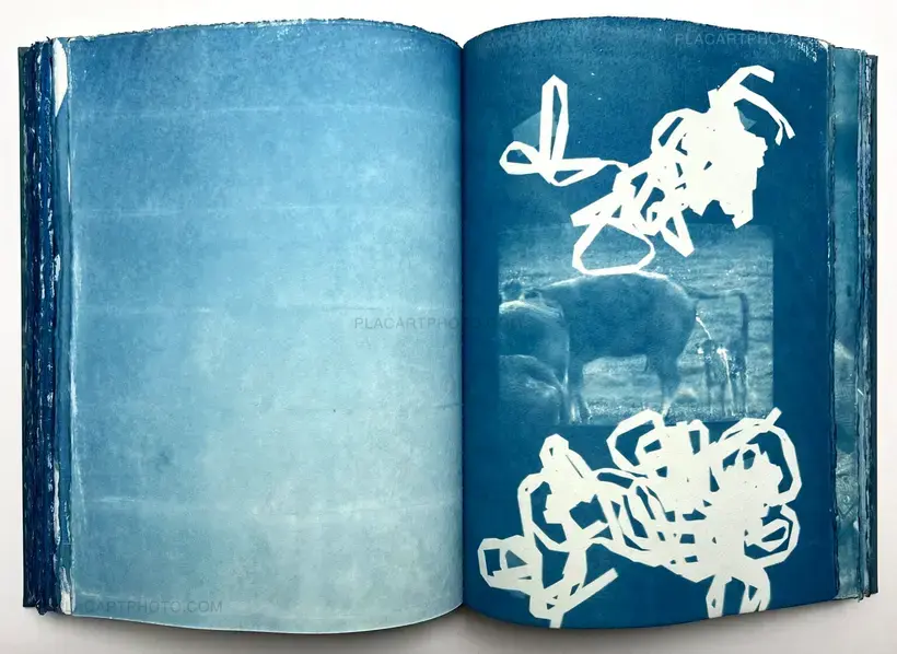 Thomas Mailaender – CYANOTYPES (Unique, signed and numbered)