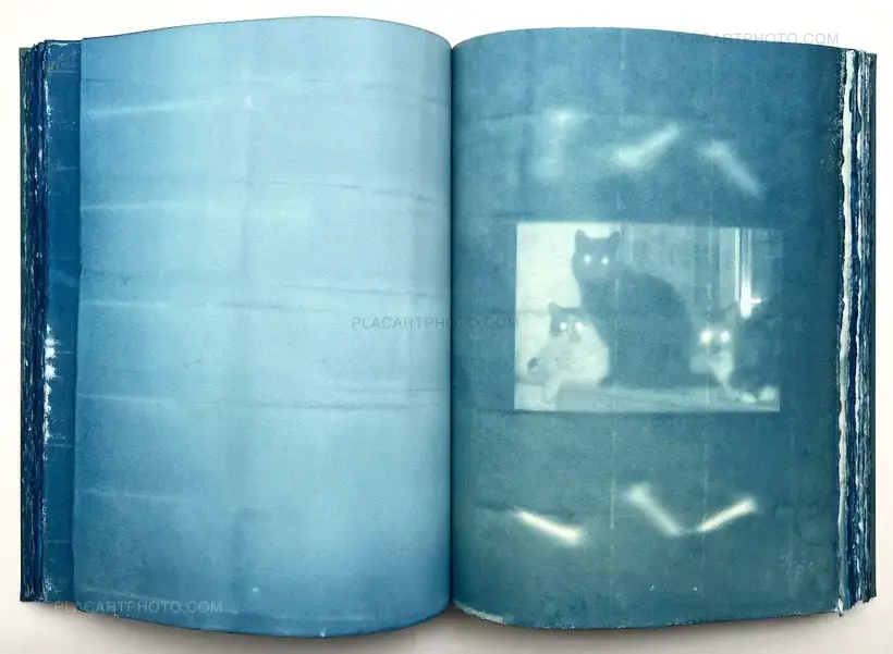 Thomas Mailaender – CYANOTYPES (Unique, signed and numbered)