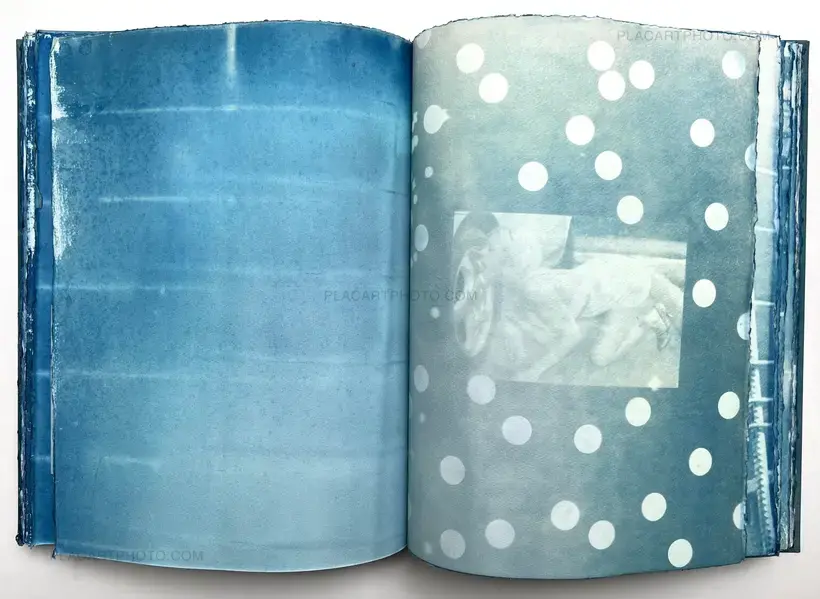 Thomas Mailaender – CYANOTYPES (Unique, signed and numbered)