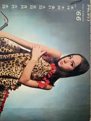 Thibault Tourmente – Asahi Graph Calendar '66 (Unique and signed)