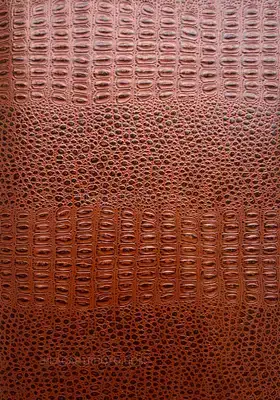 Jean-Marc Caimi & Valentina Piccinni – Umana Natura (Print B, edt 6/6, Brown cover)