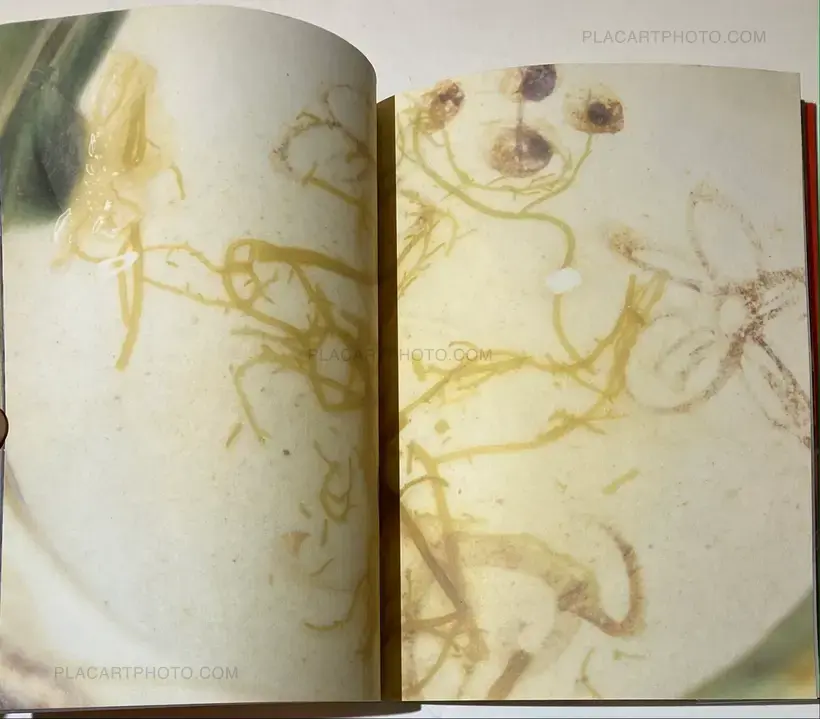 Nobuyoshi Araki – The Banquet
